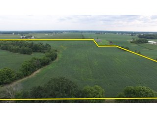 Property photo 3 - LAND AUCTION - 89.5+/- ACRES IN 3 TRACTS IN WILLIAMS COUNTY, OHIO